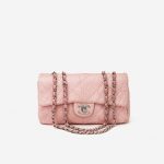 Chanel Classic Single Flap Python Light Pink Saclàb Front