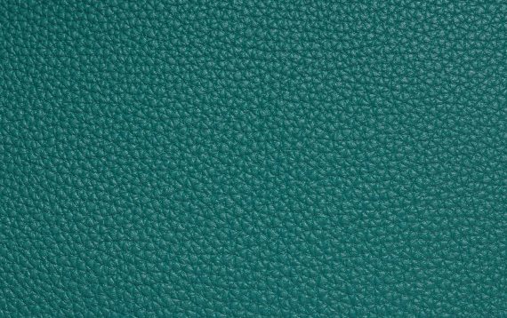 Hermès Togo Leather in Malachite | SACLÀB