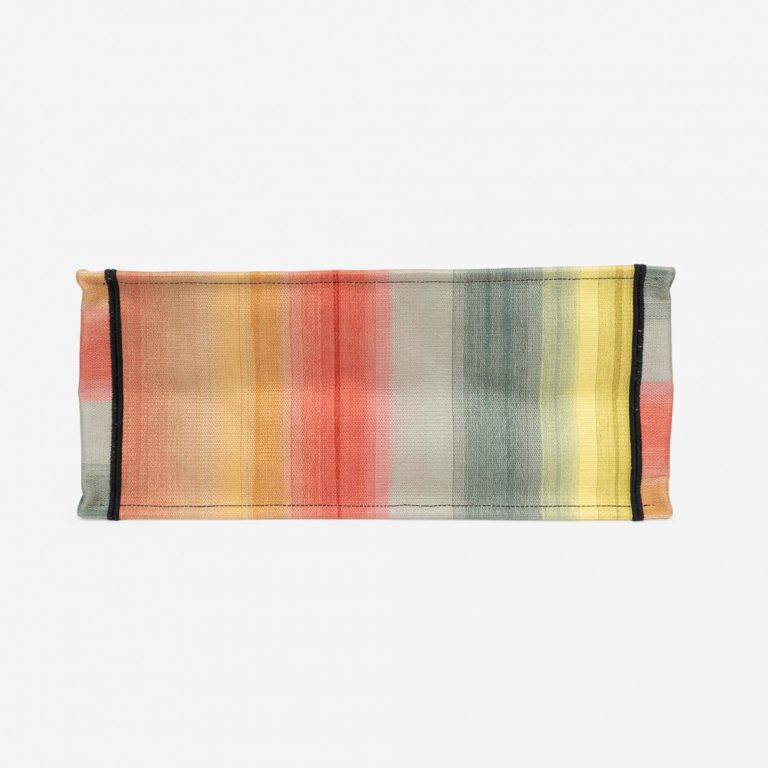 Pre-owned Dior bag Book Tote Large Canvas Multicolour Multicolour | Sell your designer bag on Saclab.com