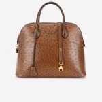 Hermès Vintage Bolide 37 Ostrich Tabacco Front