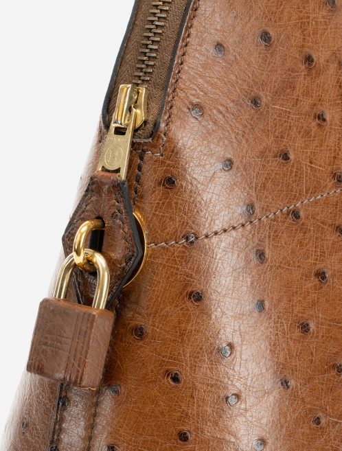 Hermès Vintage Bolide 37 Ostrich Tabacco lock