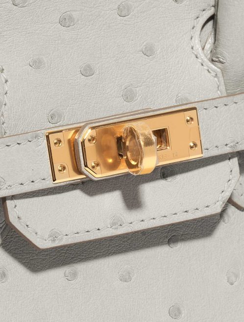 Hermès Birkin 25 Ostrich Gris Perle