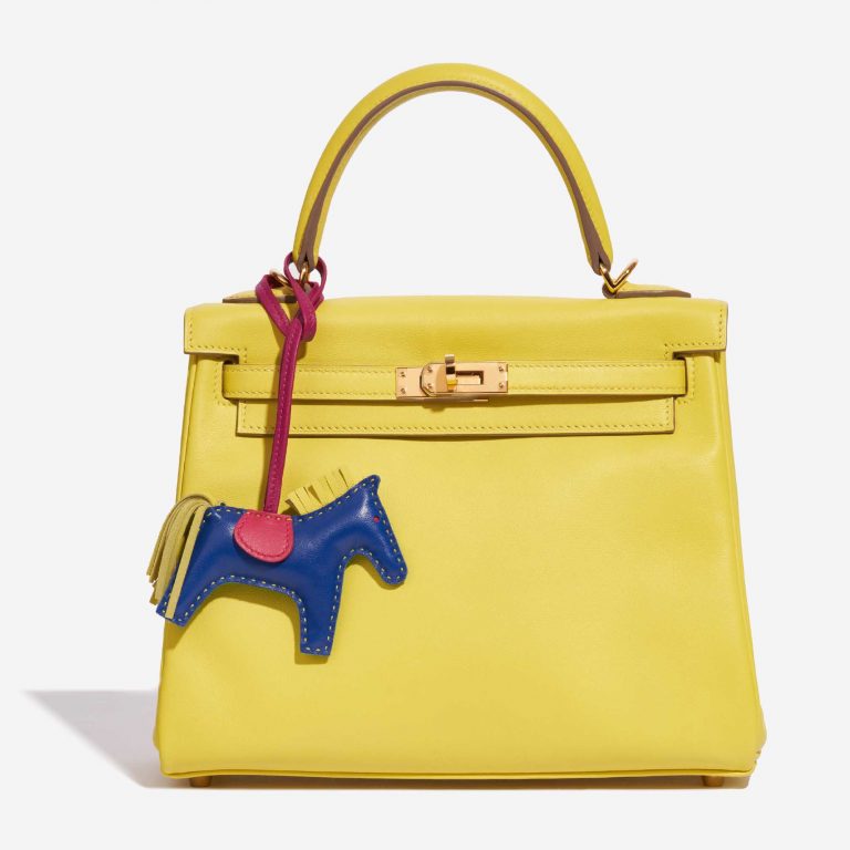 Hermès Rodeo PM Lamb Multicolour Bleu Electrique / Lagoon