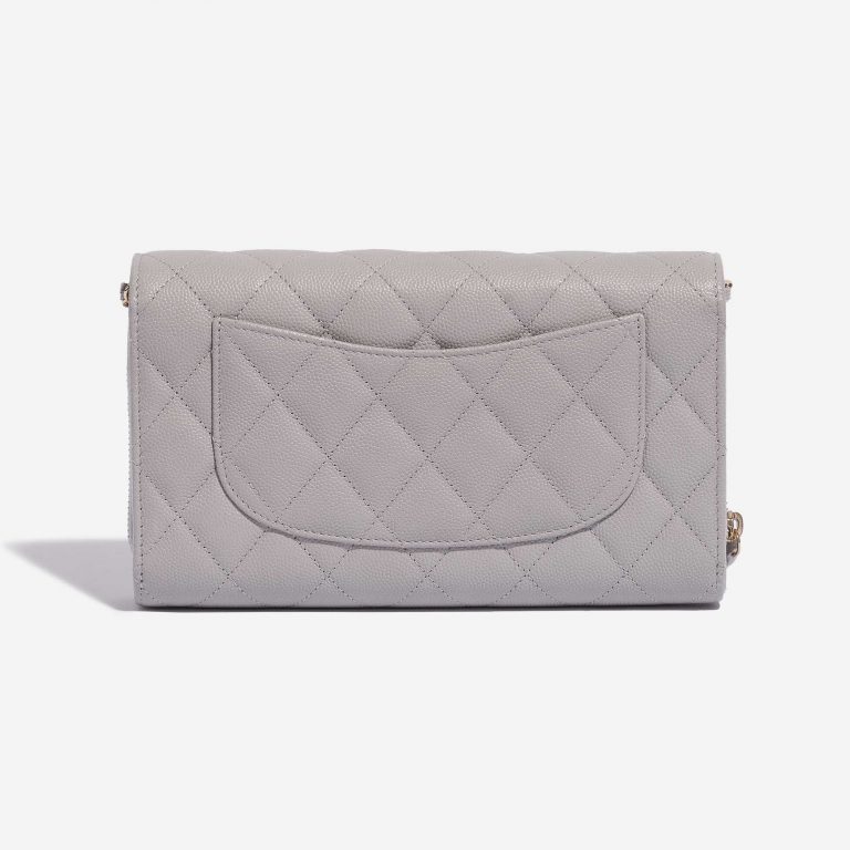 Pre-owned Chanel bag Timeless WOC Caviar Grey Grey Back | Sell your designer bag on Saclab.com