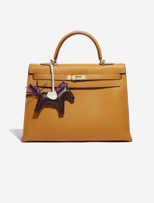 Hermès Rodeo MM Swift Chocolate / Anemone / Craie