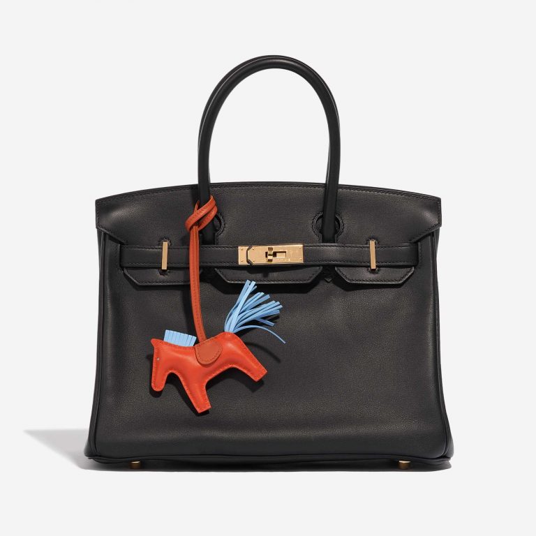 Pre-owned Hermès bag Rodeo PM Milo Lamb Rouge Casaque / Bleu Céleste / Fauve Blue, Orange, Red Front | Sell your designer bag on Saclab.com