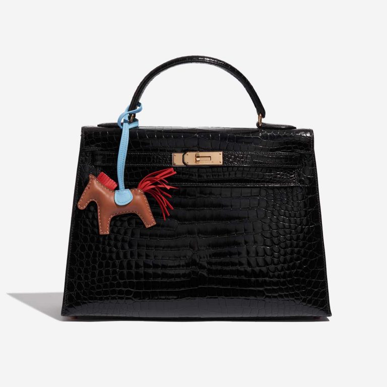 Pre-owned Hermès bag Rodeo PM Milo Lamb Gold / Rouge Indien / Celeste Blue, Brown, Red Detail | Sell your designer bag on Saclab.com