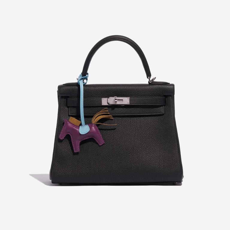 Pre-owned Hermès bag Rodeo PM Milo Anemone / Celeste / Gold Blue, Multicolour, Violet Detail | Sell your designer bag on Saclab.com