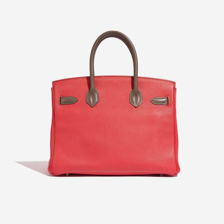 Hermès Birkin 30 Argile-Etoupe-RoseJaipur Back  | Sell your designer bag on Saclab.com