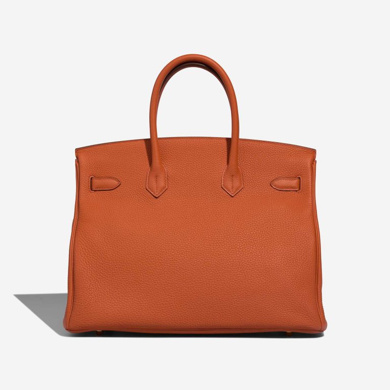 Hermès Birkin 35 TerreBattue Back  | Sell your designer bag on Saclab.com
