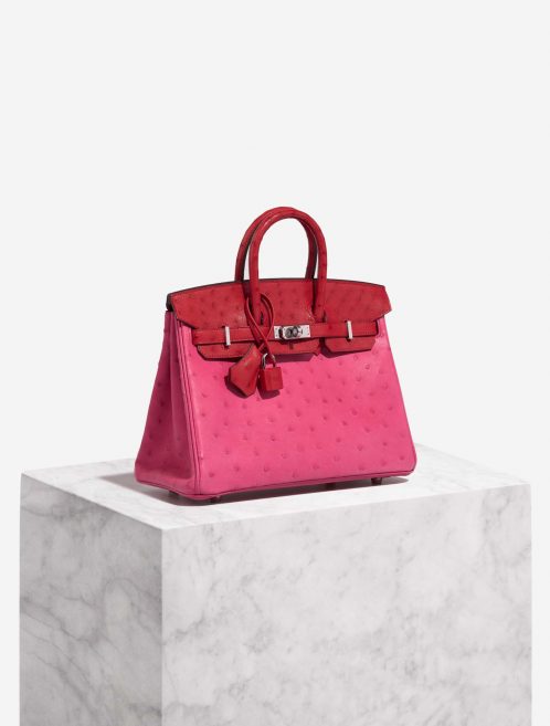 Hermès Birkin 25 RoseTyrien-RougeVif Front  | Sell your designer bag on Saclab.com