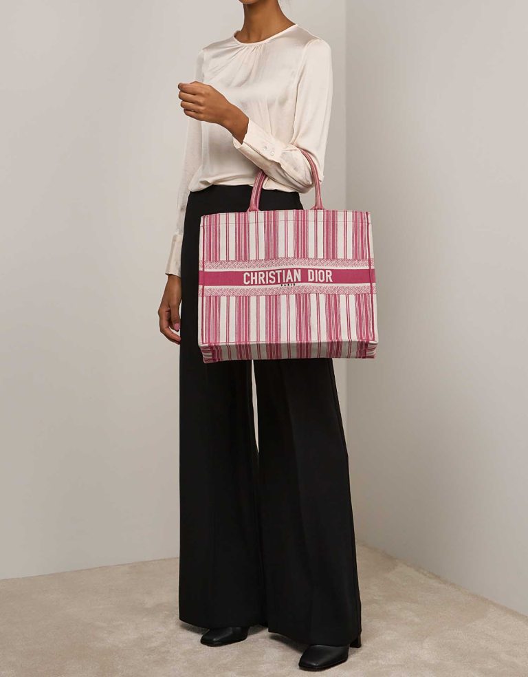 Dior Book Tote Large Canvas Multicolour on Model | Sell your designer bag