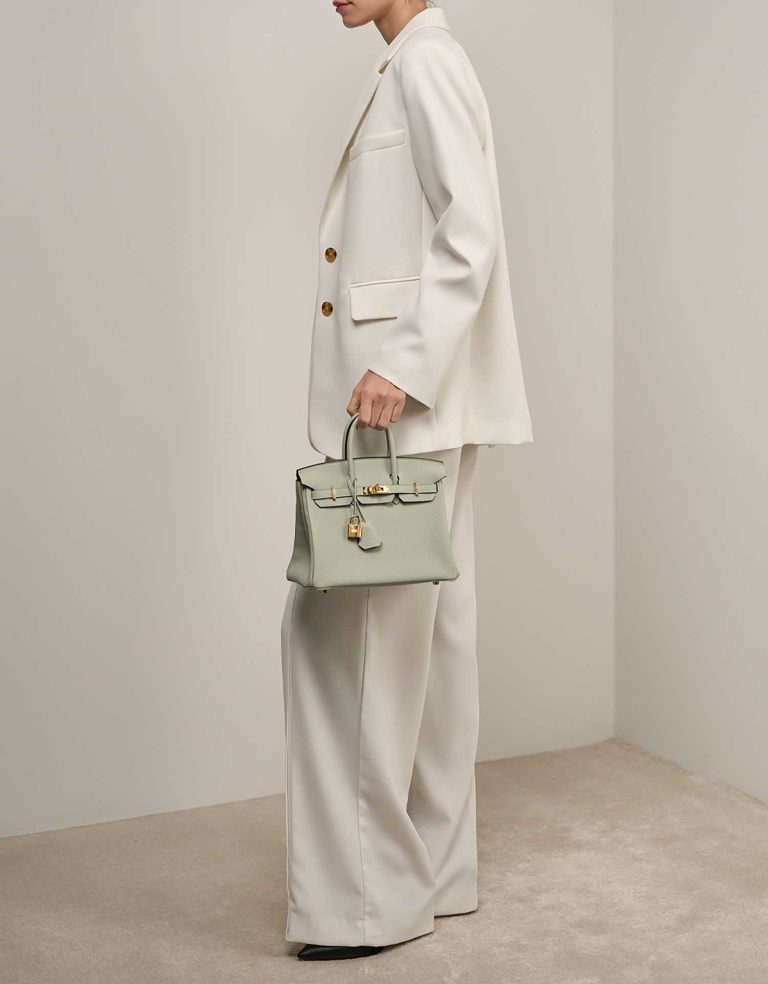 Hermès Birkin 25 Gris Neve on Model | Sell your designer bag
