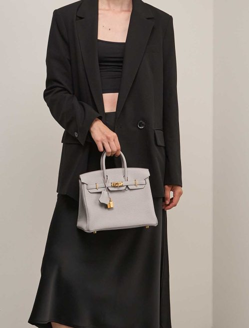 Hermès Birkin 25 Togo Gris Perle on Model | Sell your designer bag