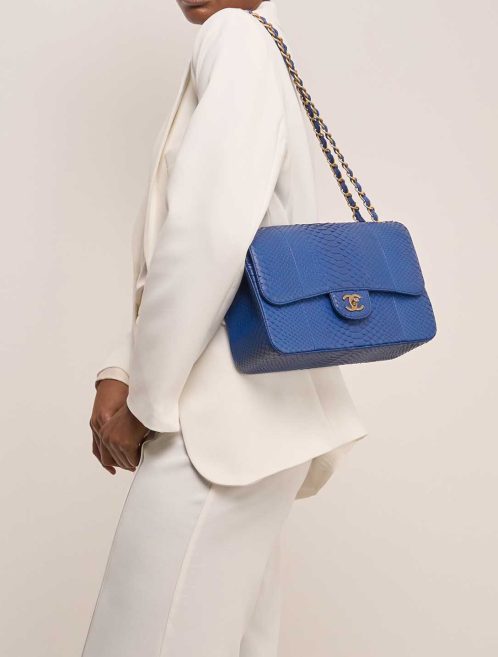 Chanel Timeless Jumbo Python Blue on Model | Sell your designer bag