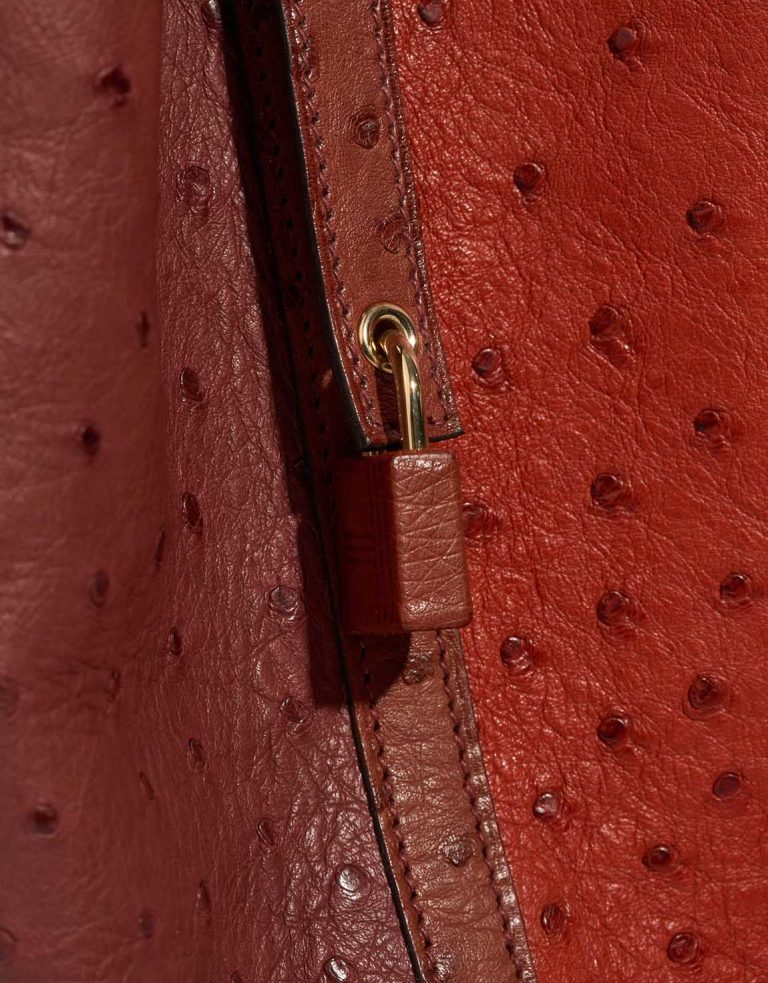 Hermès Picotin 22 Ostrich Rouge H / Rouge Vif Closing System | Sell your designer bag