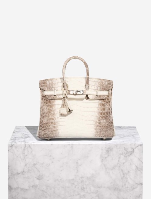 Hermès Birkin 25 Niloticus Crocodile Himalaya Front | Sell your designer bag