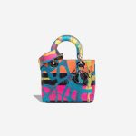Dior Lady Chris Martin Small Calf Pink / Orange / Blue Front | Sell your designer bag