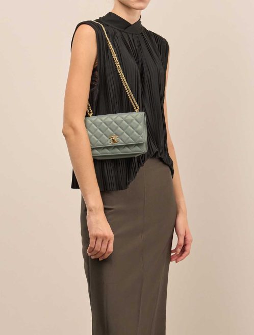 Chanel Trendy CC Wallet On Chain Lamb Iridescent / Water Green on Model | Sell your designer bag