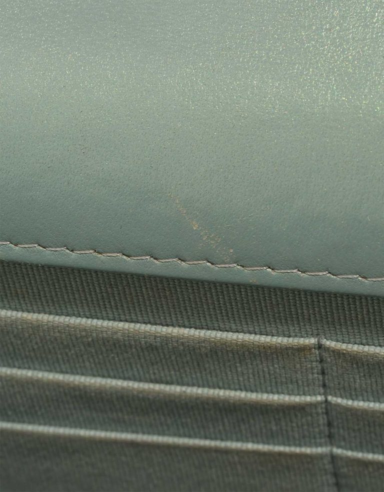 Chanel Trendy CC Wallet On Chain Lamb Iridescent / Water Green Signs of wear | Sell your designer bag