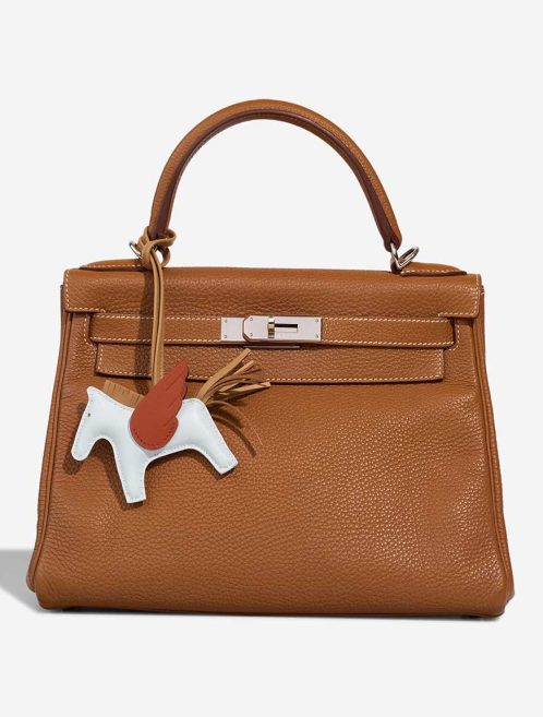 Hermès Rodeo Pegasus PM Milo Lamb Bleu Brume / Chai / Gold Closing System | Sell your designer bag