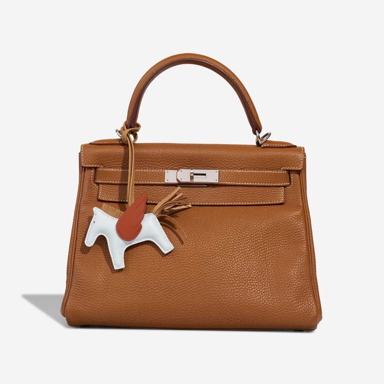 Hermès Rodeo Pegasus PM Milo Lamb Bleu Brume / Chai / Gold Front | Sell your designer bag