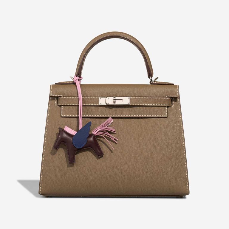 Hermès Rodeo Pegasus PM Milo Lamb Rouge Sellier / Mauve Sylvestre / Bleu Saphir Front | Sell your designer bag
